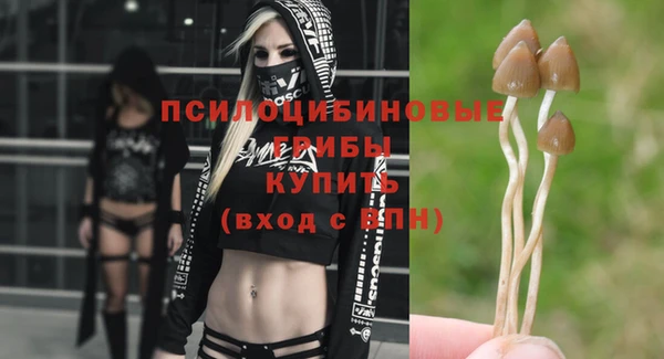 тгк Балахна