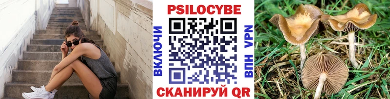 Галлюциногенные грибы Psilocybine cubensis  Майский 